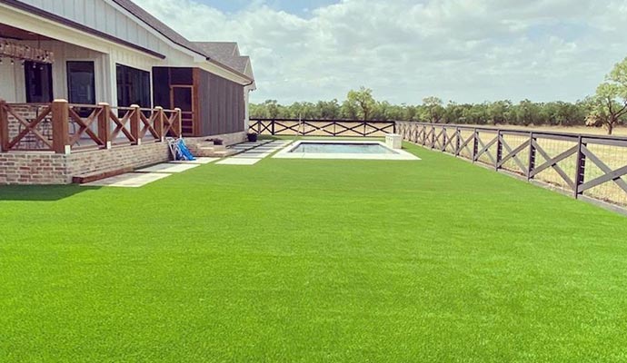 Backyard turf surrounding pool area with clean green lawn beside fenced residential property