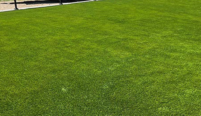 Beautifully installed artificial turf