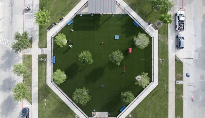 Installed artificial turf surrounding trees in outdoor space