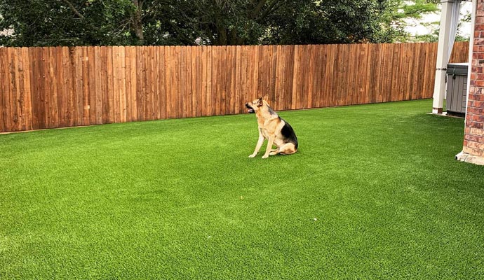 Dog sitting on clean turf