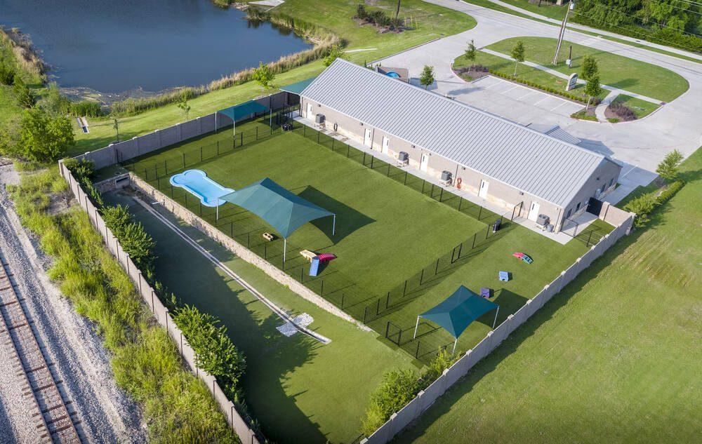 Preston Park Animal Hospital with artificial grass