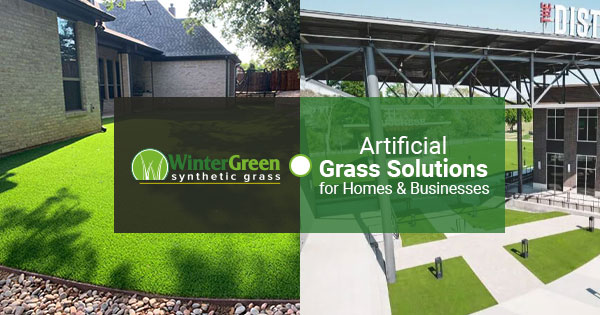Artificial Grass Solutions for Homes & Businesses in DFW
