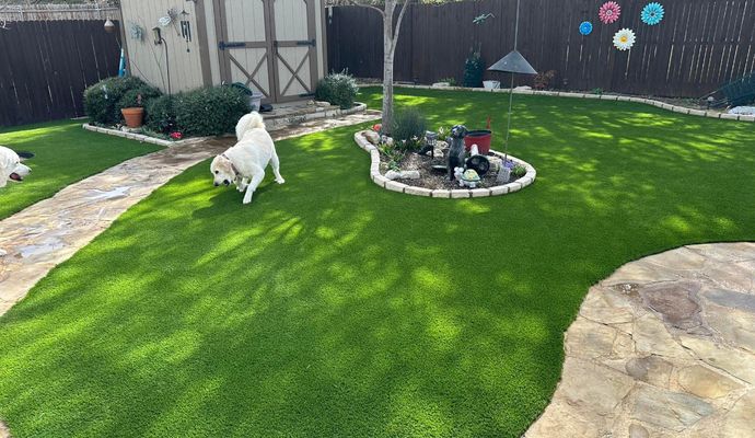 Two golden retrievers playing on a lush pet-friendly artificial turf lawn in a residential backyard