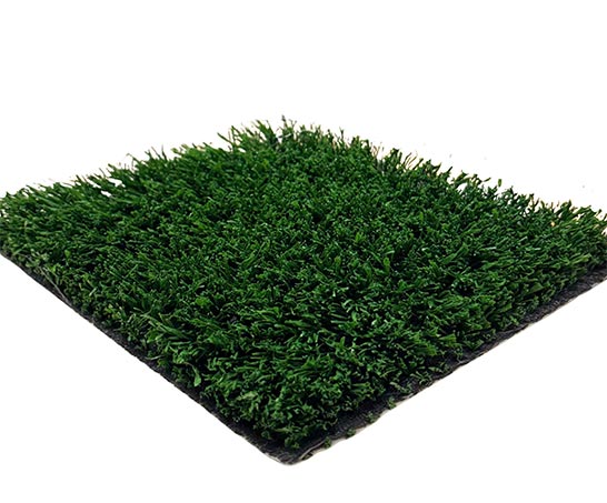 Sports Field Green