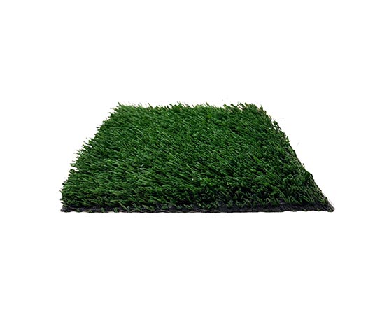 Sports Field Green