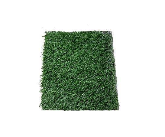 Sports Field Green