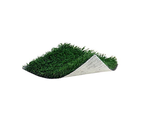 Sports Field Green