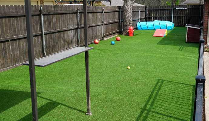 Clean residential turf in residential backyard after odor removal treatment