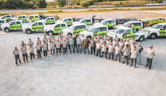 Wintergreen synthetic grass professional team